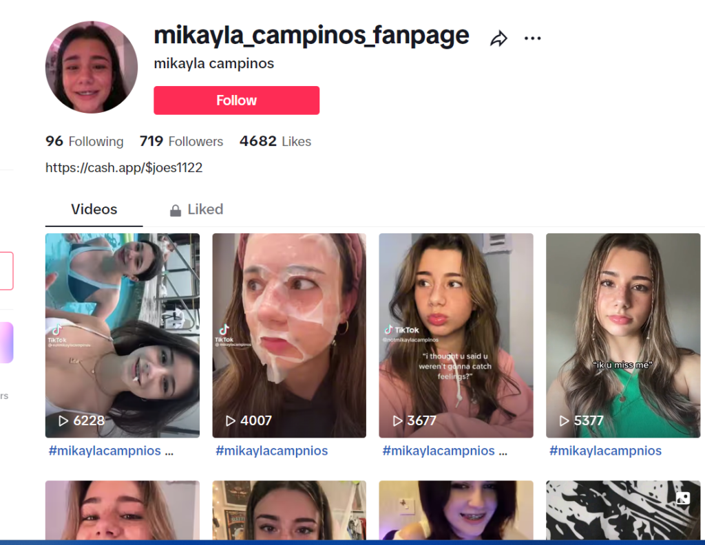 Mikayla Campinos leaked